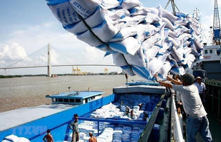 VFA kiến nghị ưu tiên thông quan xuất khẩu gạo đã tập kết tại cảng