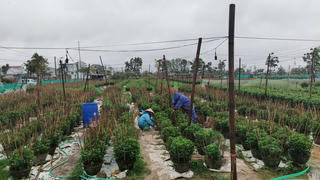 Lai Châu: Nỗ lực giảm nghèo