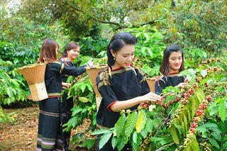 Tháng ba Tây Nguyên