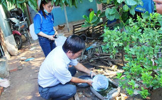 Lo ngại virus Zika