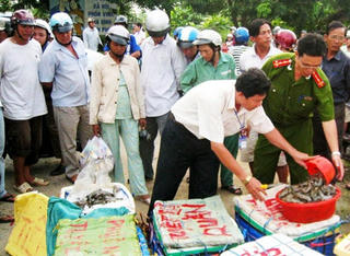 An toàn vệ sinh thực phẩm: Vi phạm vẫn gia tăng