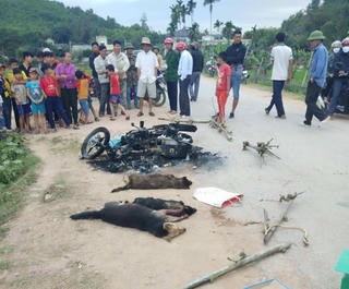 Hai thanh niên bị đánh thương vong vì trộm chó
