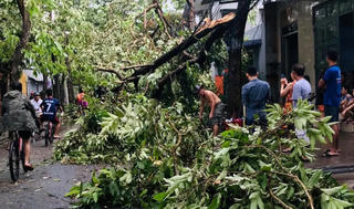 Bão số 5 tàn phá 22.000 ngôi nhà, làm 3 người tử vong