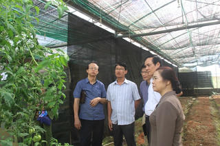 BẢN TIN MẶT TRẬN: Khoa học công nghệ phải giữ vai trò ‘then chốt’ trong phát triển
