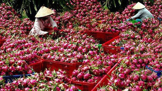 Thời cơ mới cho nông sản Việt