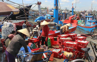 Ngư dân miền Trung chuẩn bị Tết