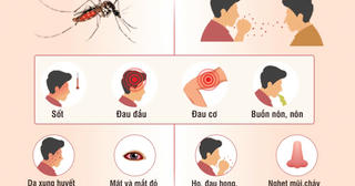 Phân biệt triệu chứng của bệnh sốt xuất huyết và Covid-19