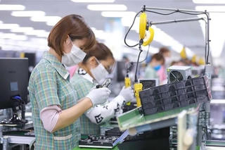 Đẩy nhanh các giải pháp cho sự phục hồi