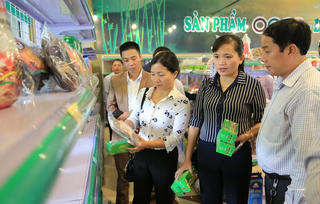 Tin vào hàng Việt từ sản phẩm OCOP