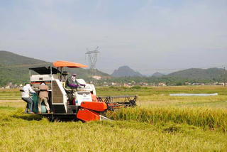 Gương mặt của làng