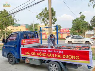Phật tử chùa Ba Vàng tham gia “giải cứu” gần 100 tấn rau  