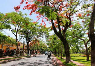Thành phố của chúng mình