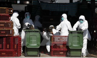 Trung Quốc ghi nhận ca nhiễm virus cúm gia cầm H7N9 mới