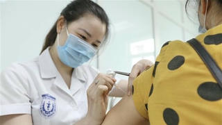 Bộ Y tế: Chỉ cấp phép khi vaccine đã có đầy đủ dữ liệu khoa học
