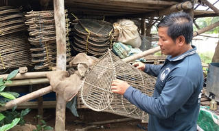 Lũ không về, nông dân thiệt hại kép