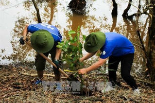 Long An: Trồng 7.000 cây bản địa ở Khu bảo tồn Láng Sen