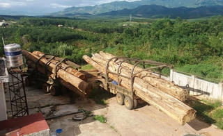 Kon Tum sẽ xử lý nghiêm hành vi buôn lậu tại biên giới