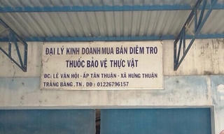 Thi hành án làm khó người dân