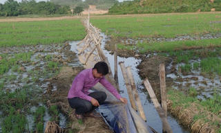 Ngắc ngoải vì nhà máy