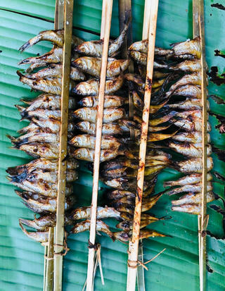 Cá nướng sông Đà