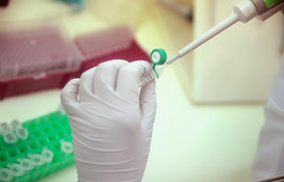 Brazil nghiên cứu vắcxin chống sốt vàng hữu dụng với Zika