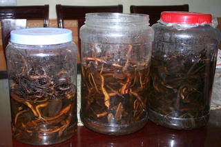 Tham thực cực thân