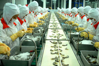 Chưa tăng các loại thuế, phí