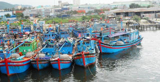 Khắc phục ô nhiễm môi trường tại cảng cá Thọ Quang