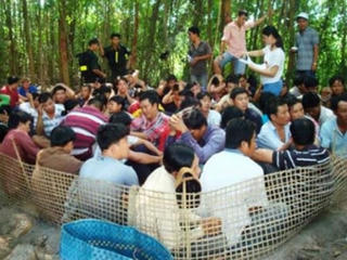 Bắt giữ 51 con bạc  trong trường gà ở vườn dừa