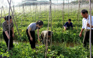 Nâng cao vai trò giám sát, phản biện ở cơ sở