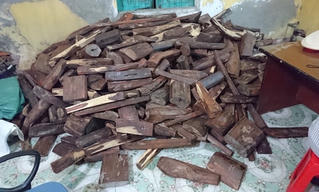 CSGT bắt vụ vận chuyển hơn 1 tấn gỗ trắc không giấy tờ