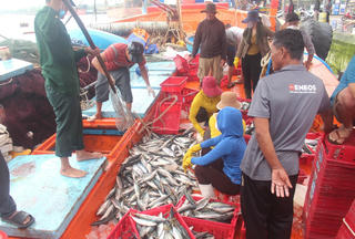 Lộc biển đầu năm