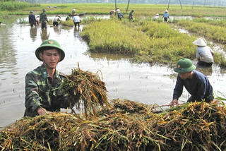 Thắm tình quân dân trên cao nguyên đất đỏ