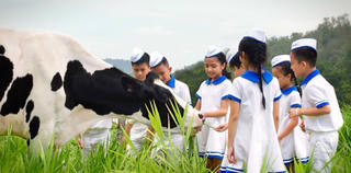 Rạng rỡ Vươn cao Việt Nam