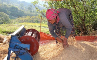 Chi nhánh Ngân hàng Chính sách xã hội Thanh Hóa: Giúp hơn 90 nghìn hộ dân thoát nghèo