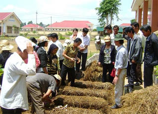 Tín dụng ưu đãi đối với lao động nông thôn sau học nghề
