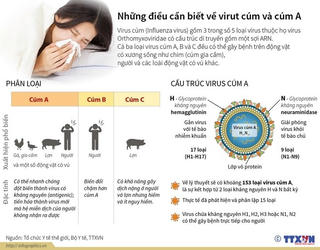 [Infographics] Những điều cần biết về virus cúm và cúm A