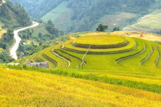 Ruộng bậc thang Mù Cang Chải