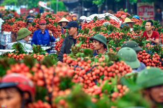 Hình thành nền nông nghiệp minh bạch