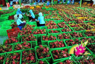 Tạo sân chơi mới cho nông sản