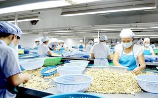Tăng trưởng khả quan, kinh tế trên đà hồi phục