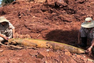 Quảng Trị: Xử lý bom, mìn phát lộ sau mưa lũ