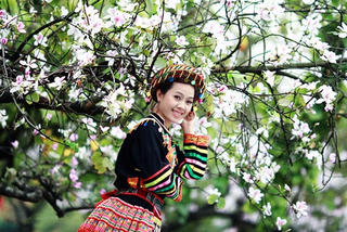 Tổ chức Lễ hội hoa ban 2016