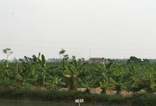 Xã làm sai,  dân chịu thiệt