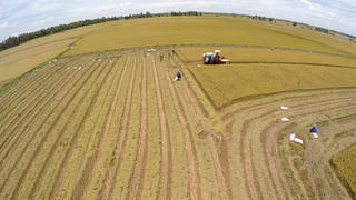 Thanh Hoá: Tích tụ ruộng đất để hiện đại hoá nền nông nghiệp