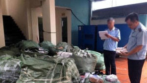 Quảng Trị thu giữ số lượng lớn gỗ lậu