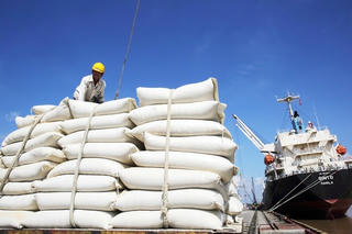 Giá gạo Việt Nam cao hơn giá gạo Thái Lan