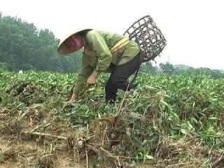 Hà Tĩnh nỗ lực khắc phục khó khăn sau lũ