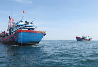 Xử lý nghiêm tàu giã cào hoạt động trái phép