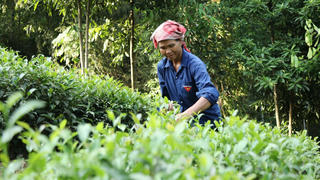 Khi người dân đồng thuận